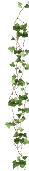 decorative vine