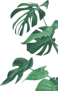 decorative leaf right
